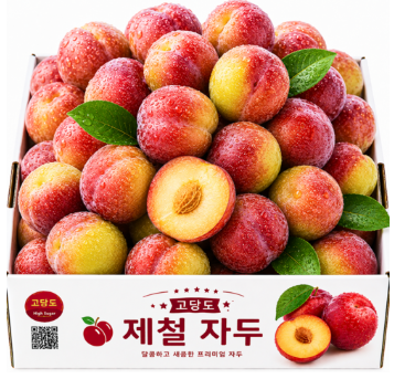 [엄마사랑농장] 초고당도 국산 햇 추희자두 3kg 제철 생과 과일 9707849587 – 29044128381