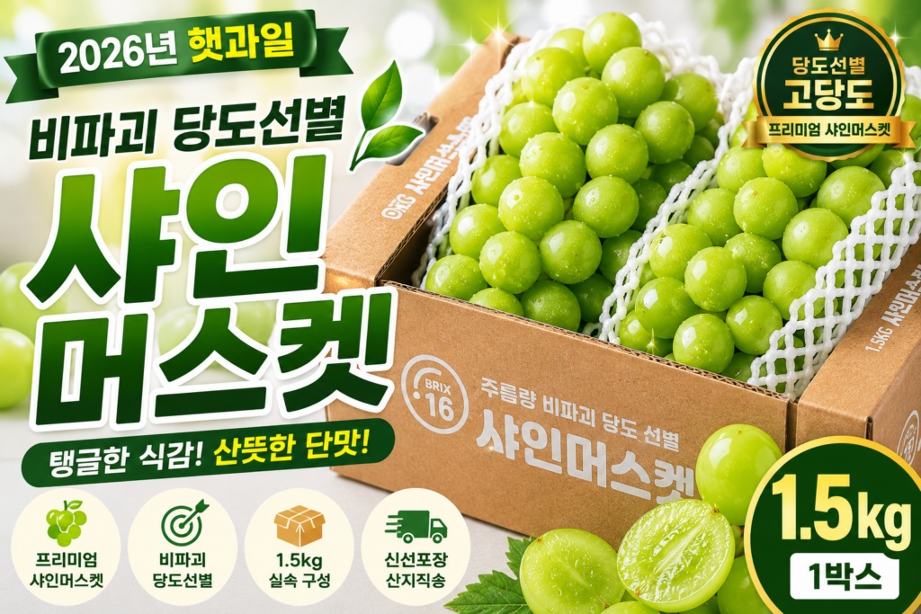 한반도 비파괴 당도선별 고당도 샤인머스켓 1.5kg 1박스 HAN-SHINE-15KG-001 제품 이미지