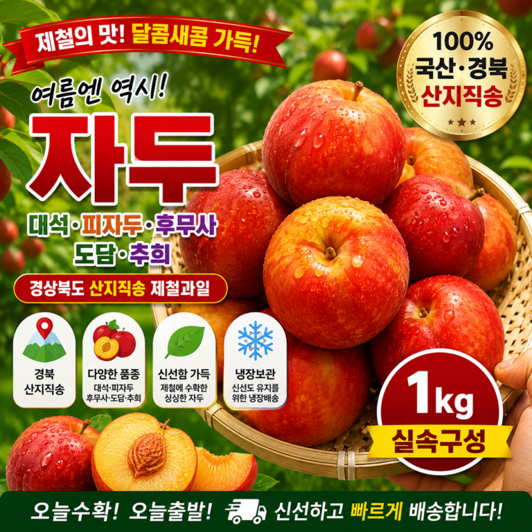 경북 산지직송 제철 자두 1kg 대석 피자두 후무사 도담 추희 국산 생자두 11848983637