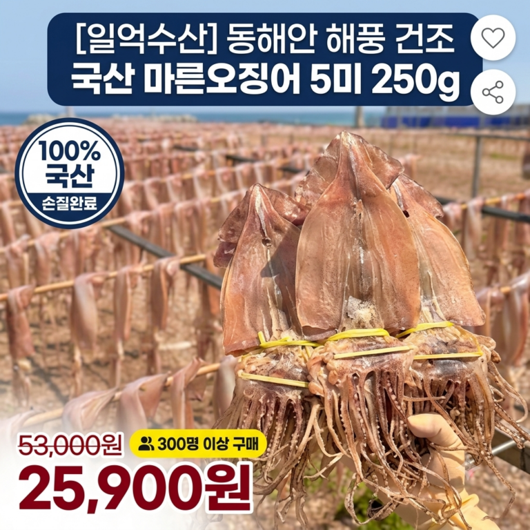 [일억수산] 동해안 해풍건조 국산 마른오징어 5마리 250g 내외 손질 건오징어 871706917 – 25515662400