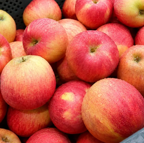 국내산 햇 홍로사과 가정용 중소과 2kg 1박스 PUREUN-HONGRO-APPLE-2KG